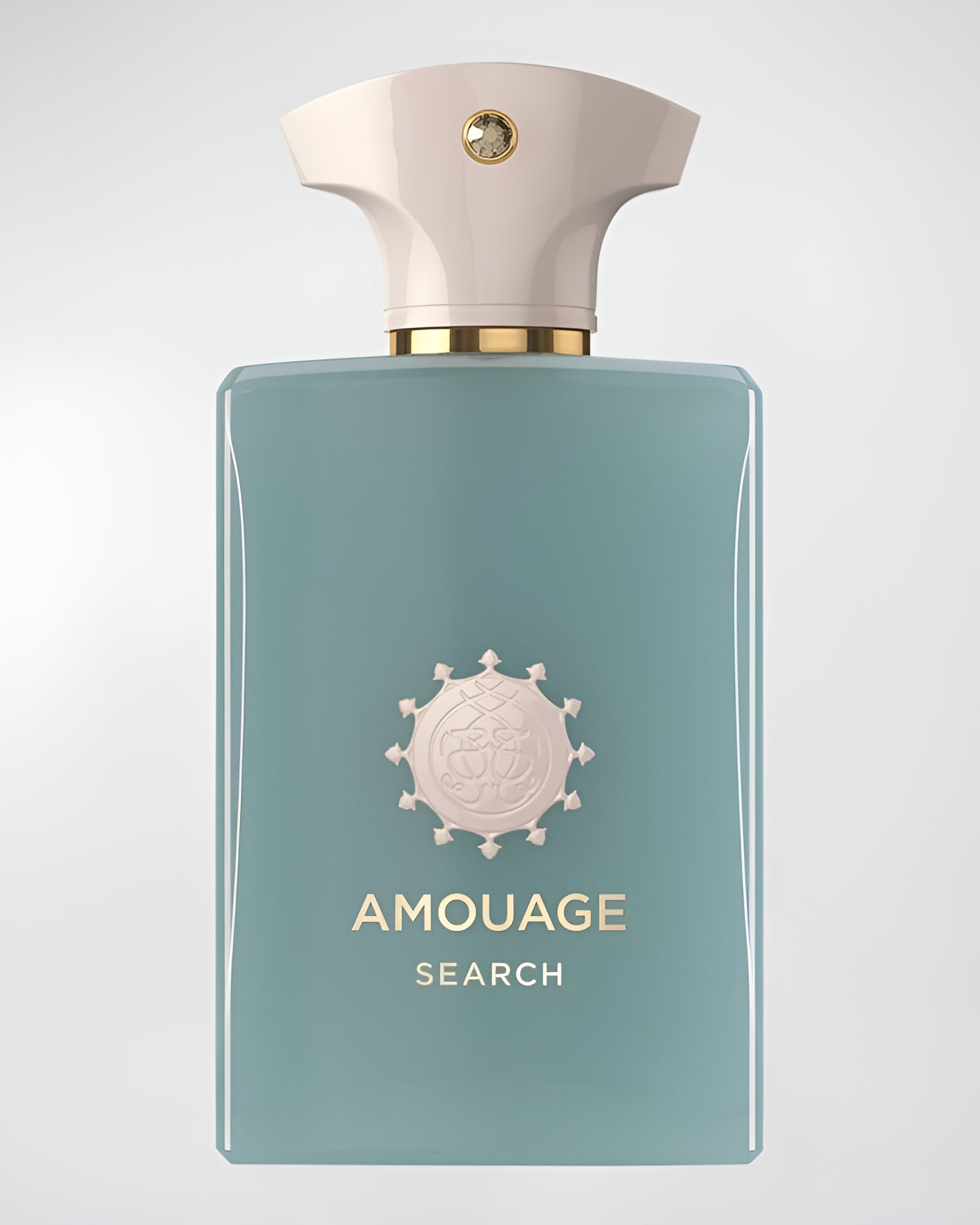 Amouage-Search-Eau de Parfum-100ml